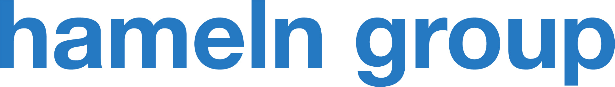 hameln group